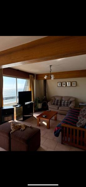 Departamento Concon Penthouse Playa Amarilla